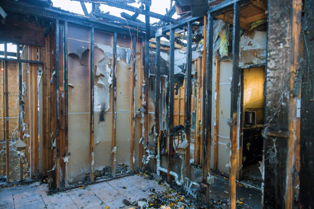 Professional Fire Damage Repair technician working in St. Peters, MO